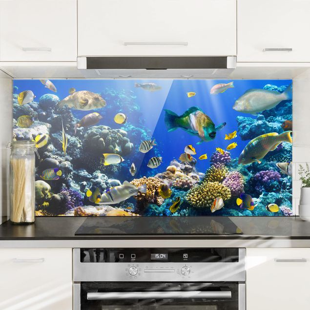 Kitchen Underwater Reef