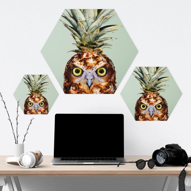 Hexagon photo prints Pineapple With Owl