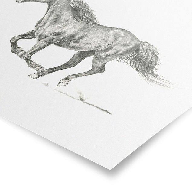 Black and white poster prints Wild Horse Trial - Mare
