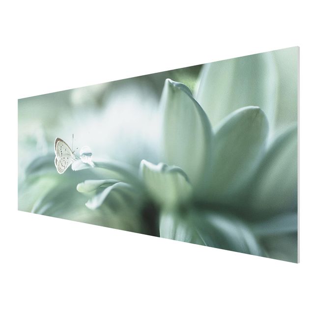 Animal wall art Butterfly And Dew Drops In Pastel Green