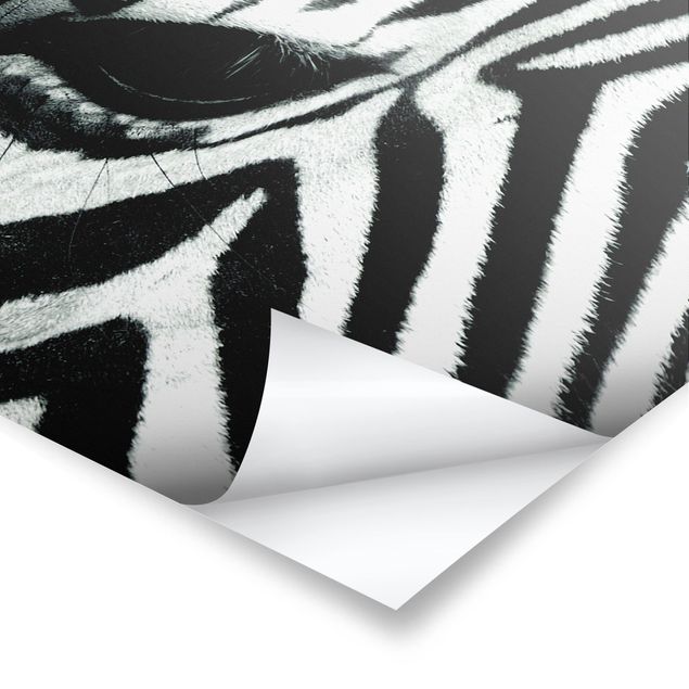 Prints Zebra Crossing