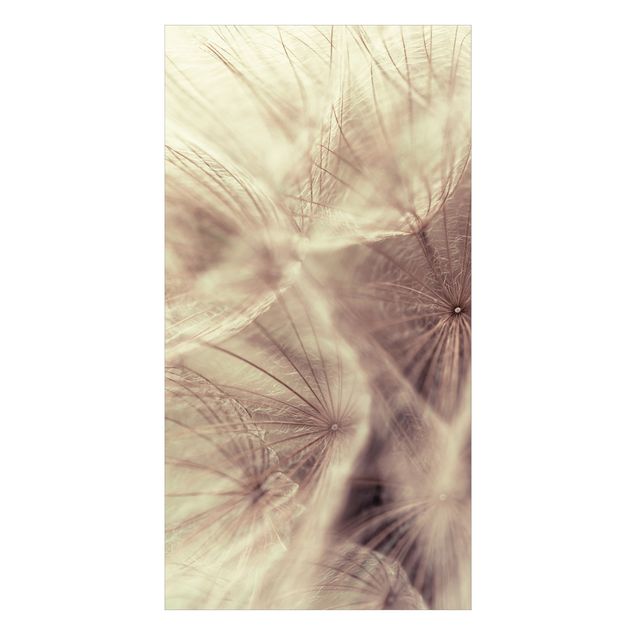 Shower wall cladding - Detailed Dandelion Macro Shot With Vintage Blur Effect