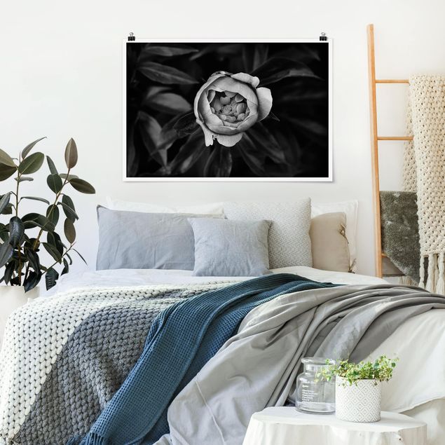 Prints floral Peonies In Front Of Leaves Black And White
