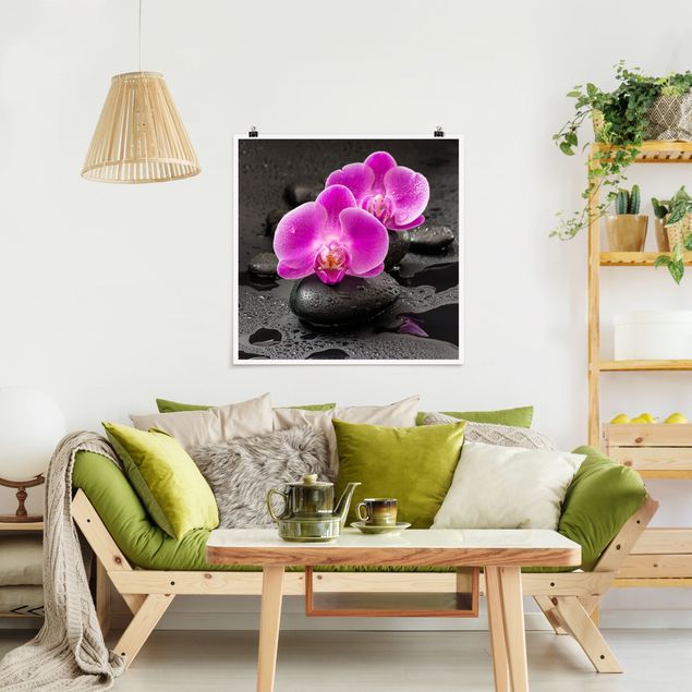 Orchid canvas Pink Orchid Flower On Stones With Drops