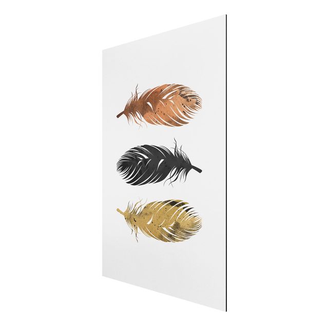 Modern art prints Feathers