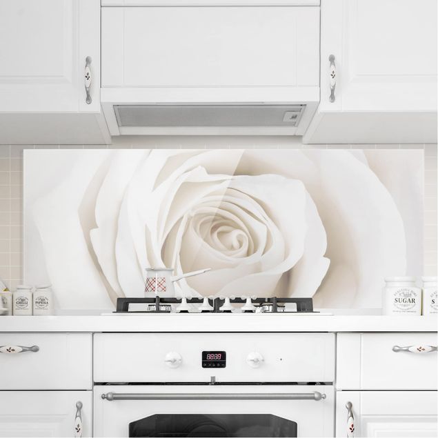 Kitchen Pretty White Rose