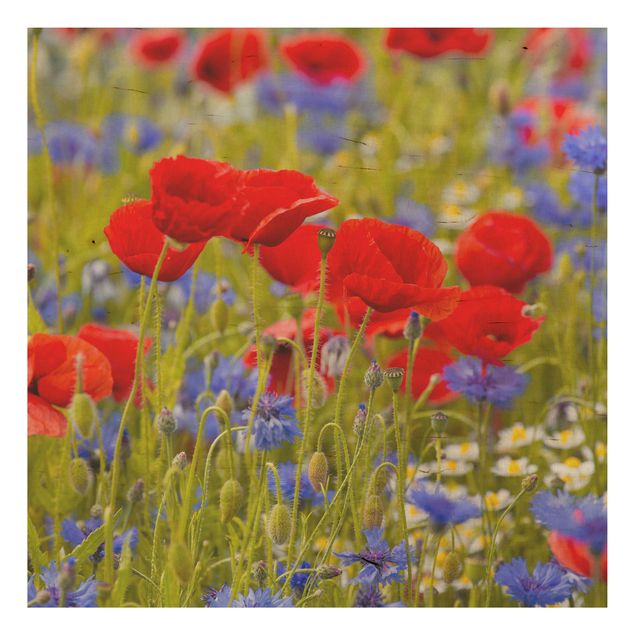 Wood prints flower Summer Meadow With Poppies And Cornflowers