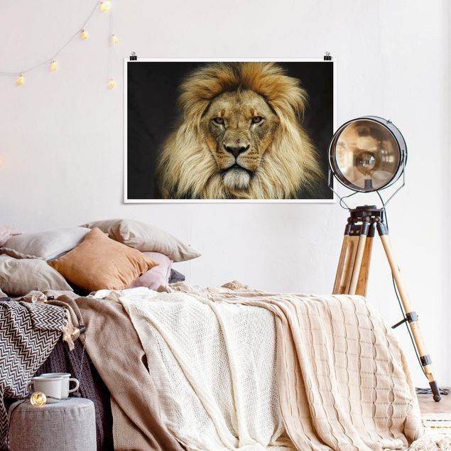 Animal canvas Wisdom Of Lion