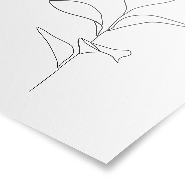 Floral canvas Line Art Plant Leaves Black And White