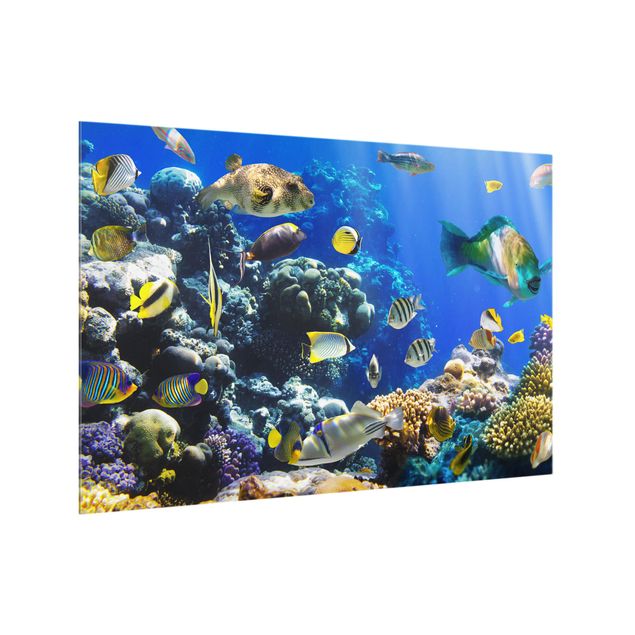 Glass splashback kitchen beach Underwater Reef