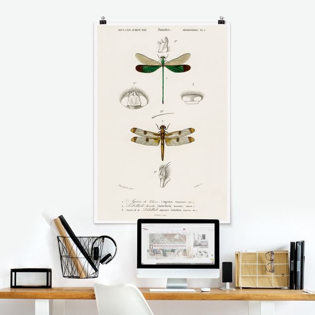 Kitchen Vintage Board Dragonflies