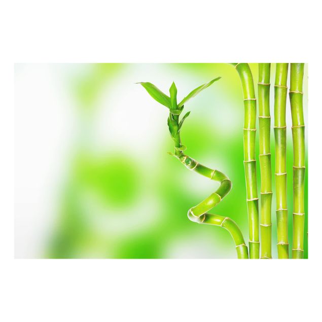 Glass Splashback - green bamboo - Landscape 2:3