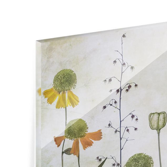 Glass Splashback - Delicate Helenium Flowers - Panoramic