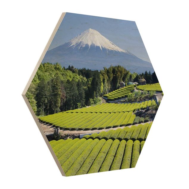 Wood photo prints Tea Fields In Front Of The Fuji