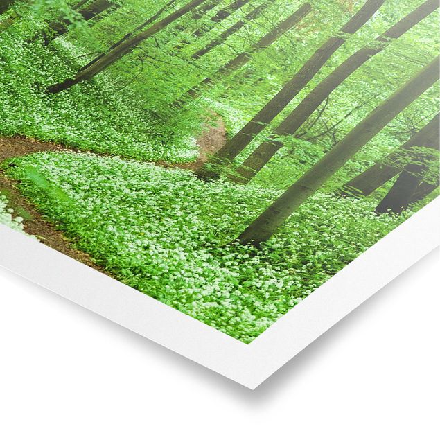 Modern art prints Romantic Forest Track