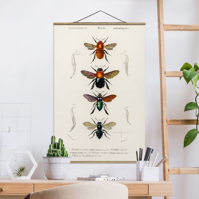 Kitchen Vintage Board Insects