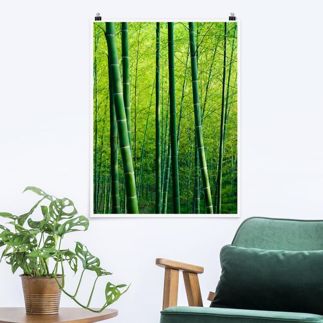 Kitchen Bamboo Forest