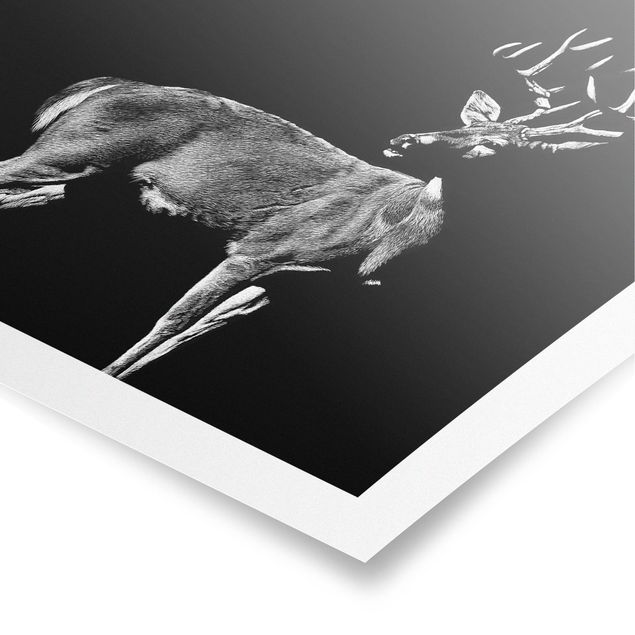 Posters black and white Deer In The Dark