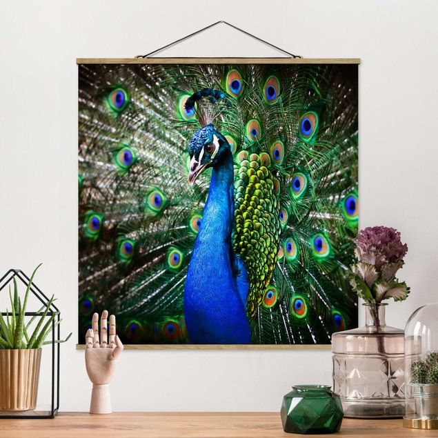Kitchen Noble Peacock