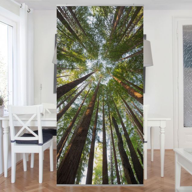 Rainer Mirau Sequoia Tree Tops