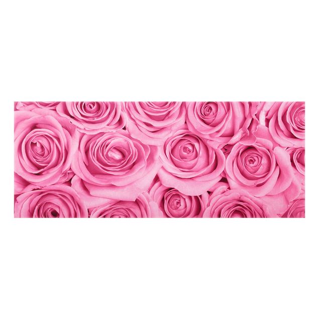 Glass Splashback - Pink Roses - Panoramic