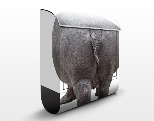 Letterboxes animals The Hippo Goes Home