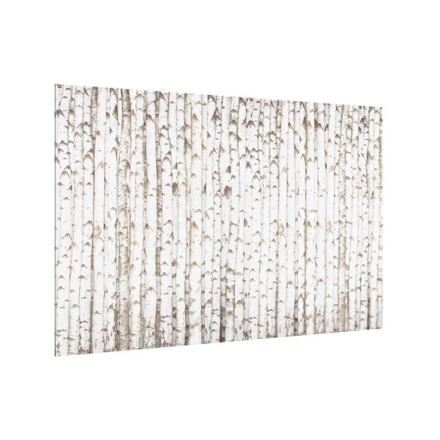 Wood effect splashbacks for kitchens No.YK15 Birch Wall