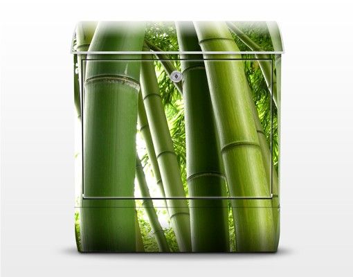 Green letter box Bamboo Trees No.1