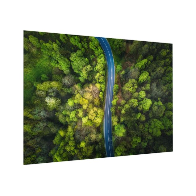 Glass splashback kitchen Aerial View - Asphalt Road In The Forest
