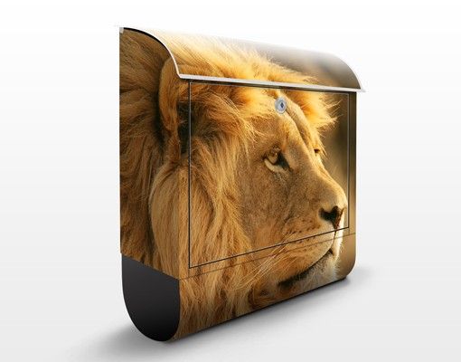 Letterboxes animals King Lion