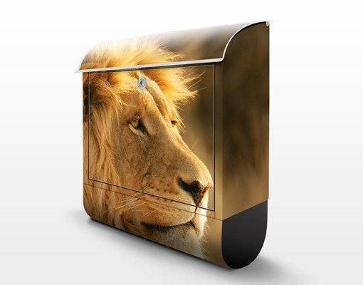 Letterboxes King Lion