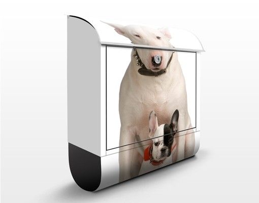 Letterboxes animals Bull Terrier and Friend