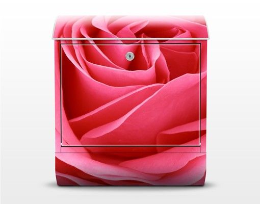 Letterboxes pink Lustful Pink Rose