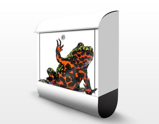 Letterboxes Fire-bellied Toad