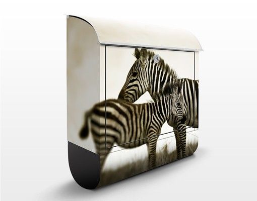 Letterboxes black and white Zebra Couple