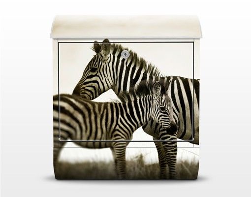 Letterboxes animals Zebra Couple