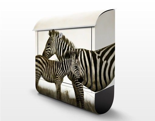 Letterboxes Zebra Couple
