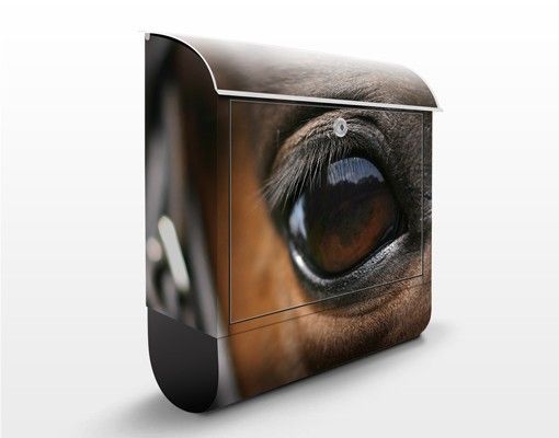 Letterboxes animals Horse Eye