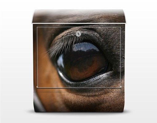 Letterboxes brown Horse Eye