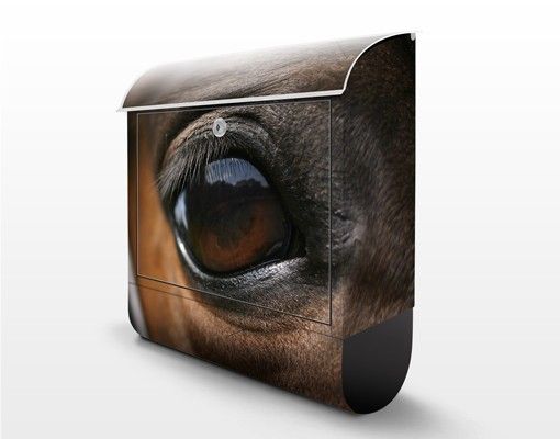 Letterboxes Horse Eye