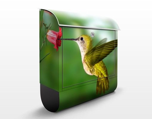 Letterboxes flower Hummingbird And Flower