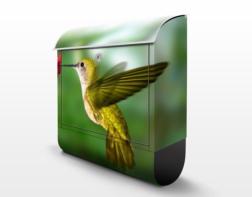 Green post box Hummingbird And Flower