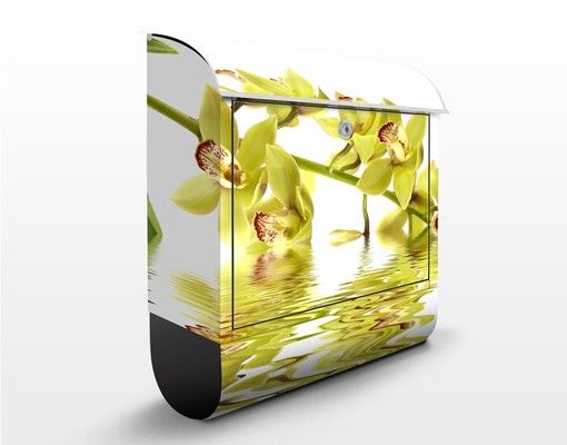 Letterboxes flower Elegant Orchid Waters