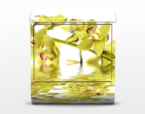 Yellow letter box Elegant Orchid Waters