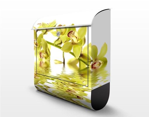 Letterboxes white Elegant Orchid Waters