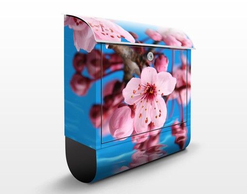 Letterboxes flower Cherry Blossom