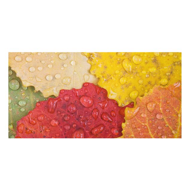 Glass splashback kitchen Water Drops On Colorful Leaves