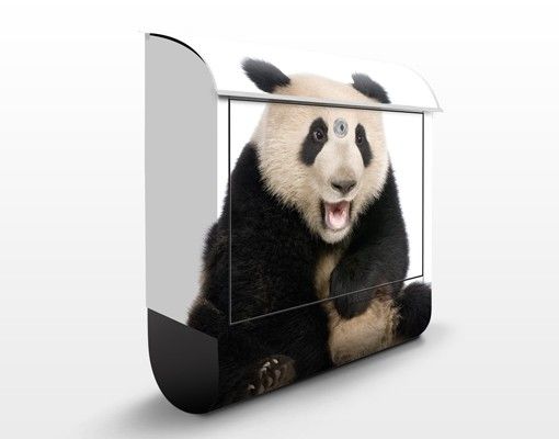Letterboxes animals Laughing Panda