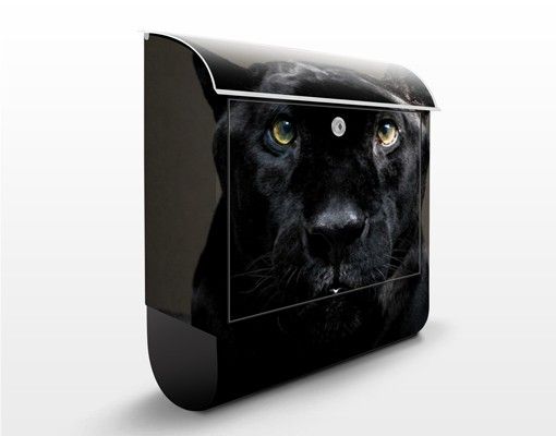 Letterboxes animals Black Puma
