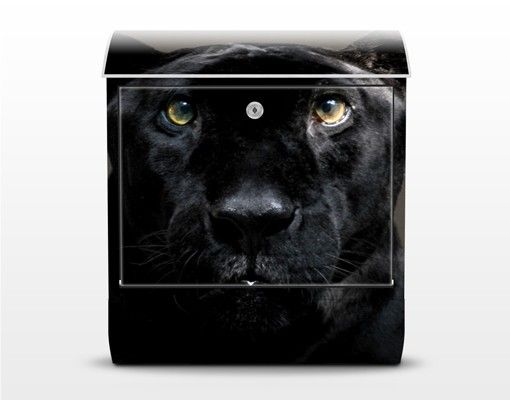Letterboxes black Black Puma